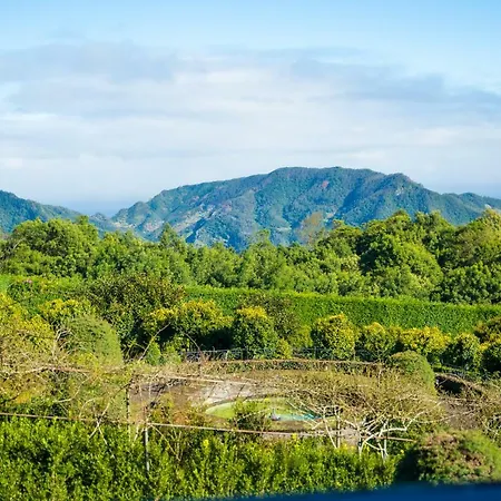 Luxurious In Eastern Madeira Villa *
