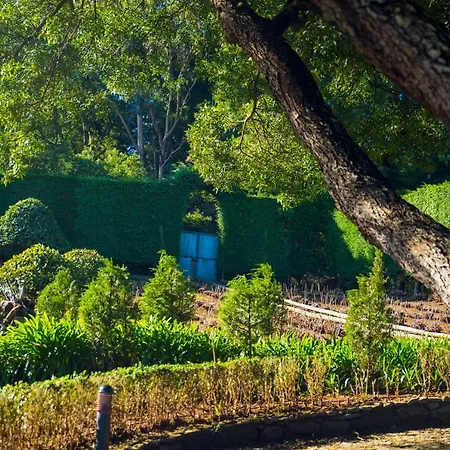 Luxurious In Eastern Madeira * Santo Antonio da Serra