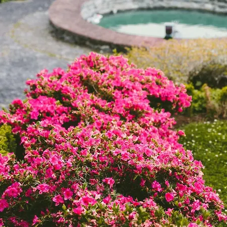 Luxurious In Eastern Madeira Villa