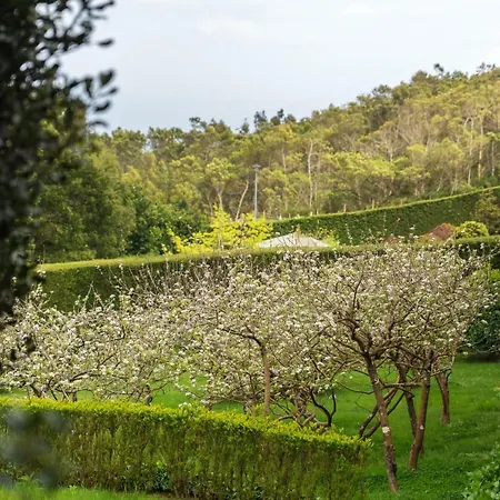 Luxurious In Eastern Madeira *